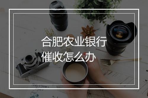 合肥农业银行催收怎么办