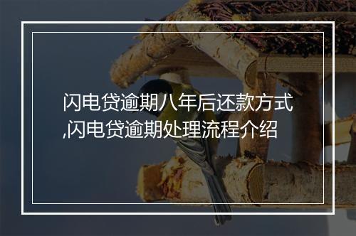 闪电贷逾期八年后还款方式,闪电贷逾期处理流程介绍