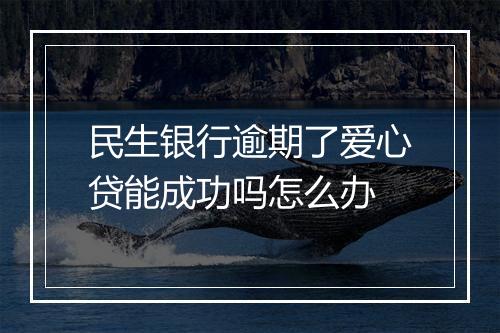 民生银行逾期了爱心贷能成功吗怎么办