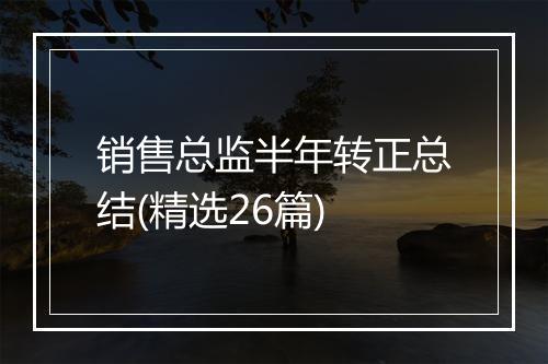 销售总监半年转正总结(精选26篇)