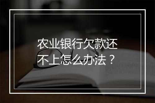 农业银行欠款还不上怎么办法？