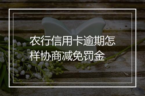 农行信用卡逾期怎样协商减免罚金