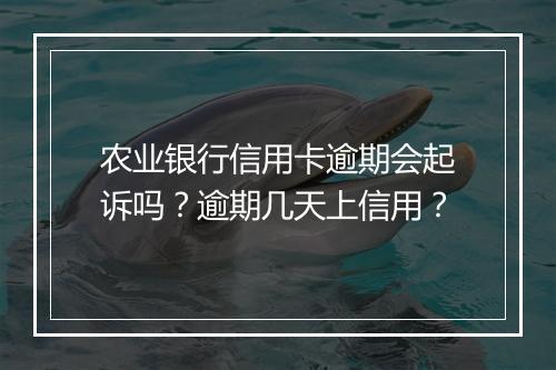 农业银行信用卡逾期会起诉吗？逾期几天上信用？