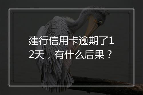 建行信用卡逾期了12天，有什么后果？