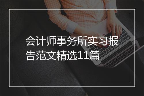 会计师事务所实习报告范文精选11篇