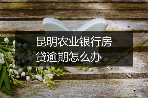 昆明农业银行房贷逾期怎么办