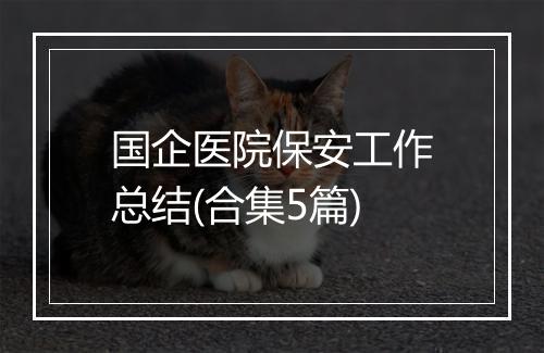 国企医院保安工作总结(合集5篇)