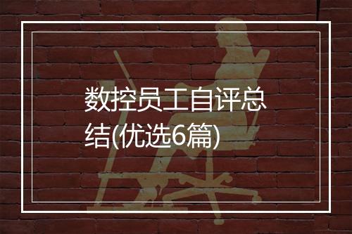 数控员工自评总结(优选6篇)