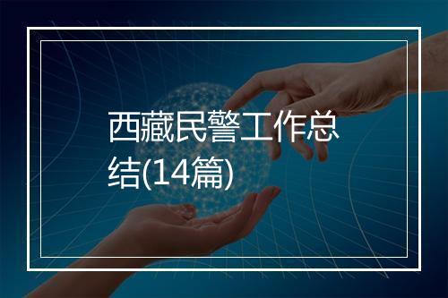 西藏民警工作总结(14篇)