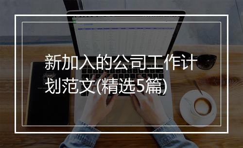 新加入的公司工作计划范文(精选5篇)