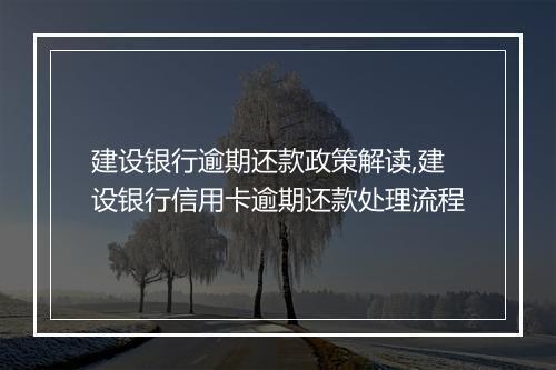 建设银行逾期还款政策解读,建设银行信用卡逾期还款处理流程