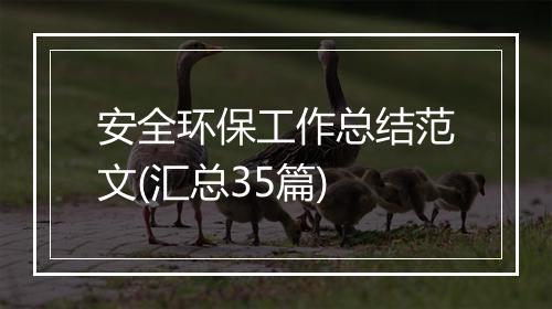 安全环保工作总结范文(汇总35篇)