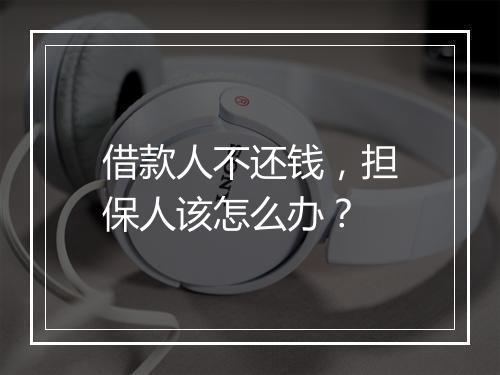 借款人不还钱，担保人该怎么办？