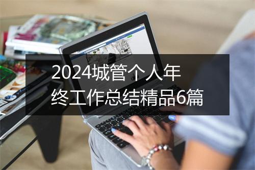 2024城管个人年终工作总结精品6篇