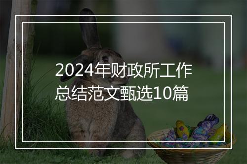 2024年财政所工作总结范文甄选10篇