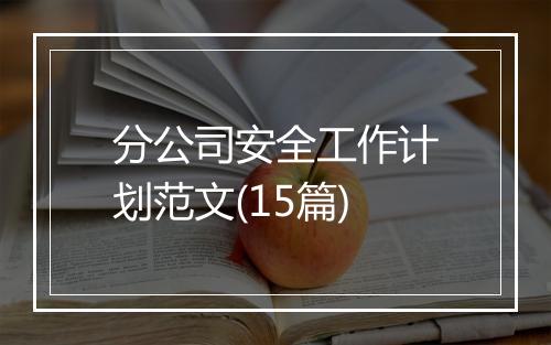 分公司安全工作计划范文(15篇)