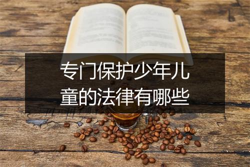 专门保护少年儿童的法律有哪些