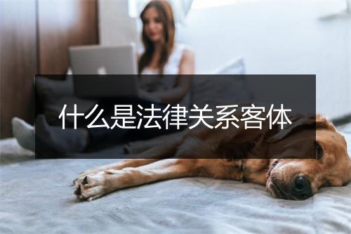 什么是法律关系客体