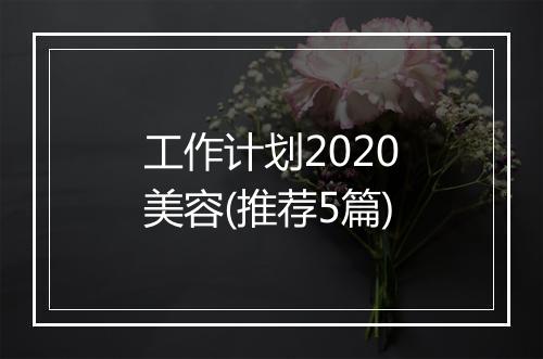 工作计划2020美容(推荐5篇)