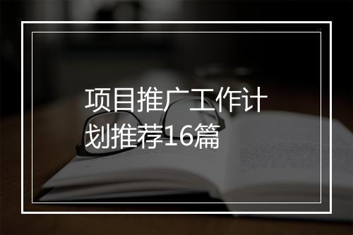 项目推广工作计划推荐16篇
