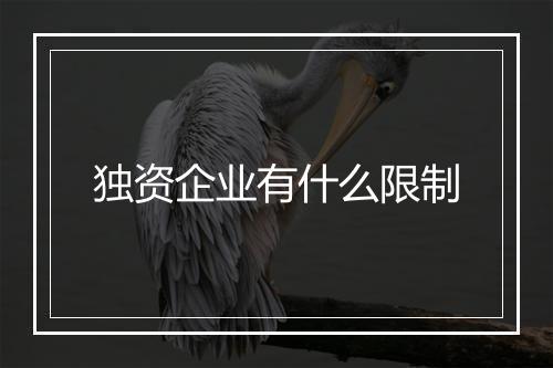 独资企业有什么限制