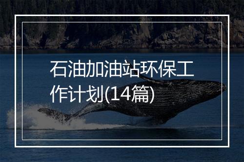 石油加油站环保工作计划(14篇)