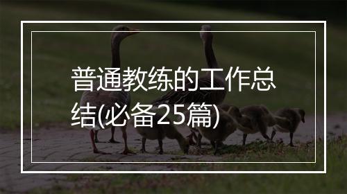 普通教练的工作总结(必备25篇)