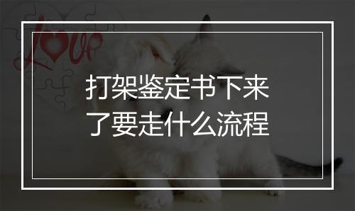 打架鉴定书下来了要走什么流程