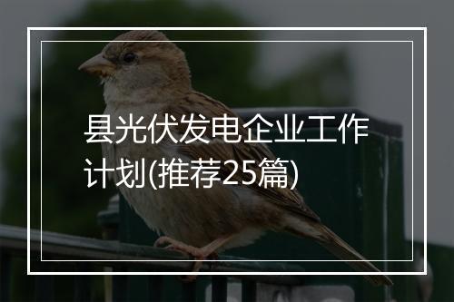 县光伏发电企业工作计划(推荐25篇)