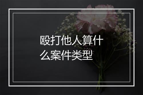 殴打他人算什么案件类型
