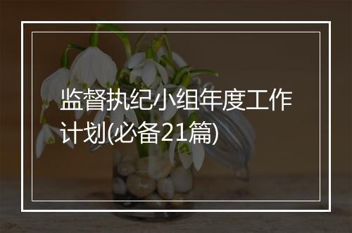 监督执纪小组年度工作计划(必备21篇)