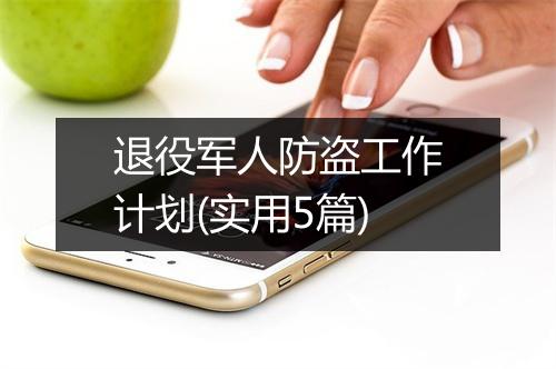 退役军人防盗工作计划(实用5篇)