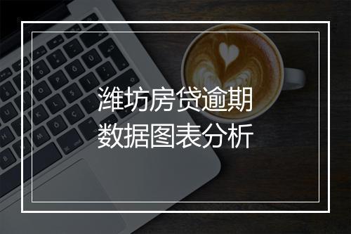 潍坊房贷逾期数据图表分析