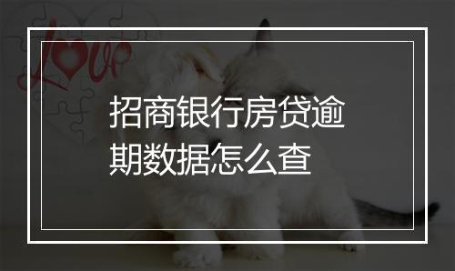 招商银行房贷逾期数据怎么查