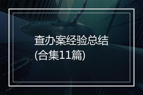查办案经验总结(合集11篇)