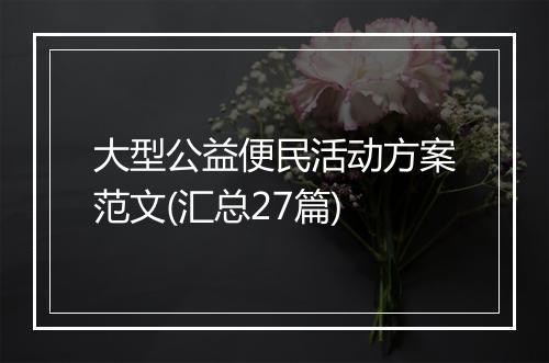 大型公益便民活动方案范文(汇总27篇)