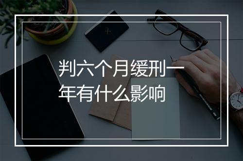 判六个月缓刑一年有什么影响