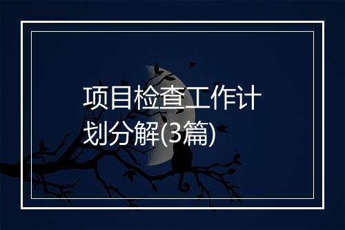 项目检查工作计划分解(3篇)