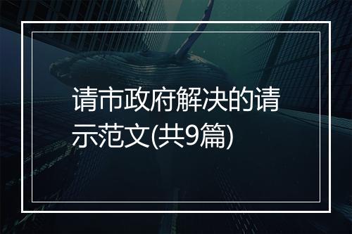 请市政府解决的请示范文(共9篇)
