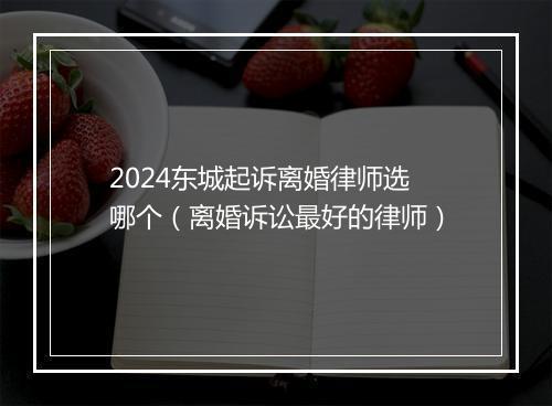 2024东城起诉离婚律师选哪个（离婚诉讼最好的律师）