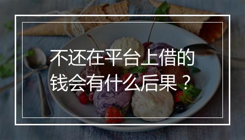 不还在平台上借的钱会有什么后果？