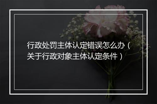 行政处罚主体认定错误怎么办（关于行政对象主体认定条件）