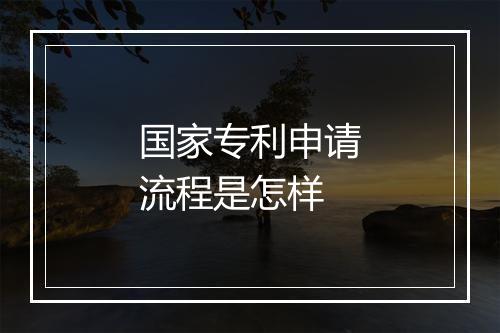 国家专利申请流程是怎样