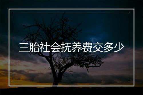 三胎社会抚养费交多少