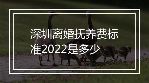 深圳离婚抚养费标准2022是多少