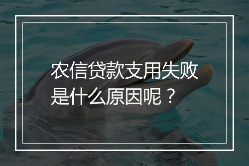 农信贷款支用失败是什么原因呢？