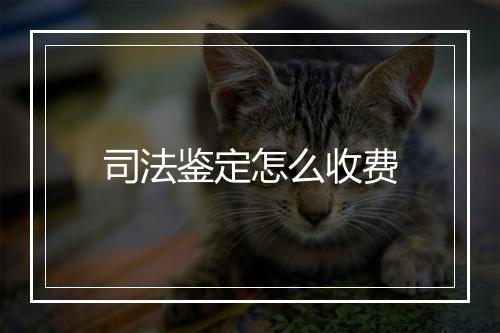 司法鉴定怎么收费
