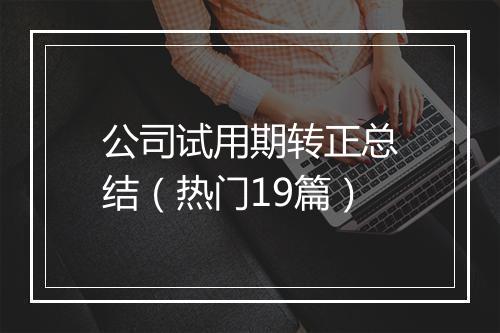 公司试用期转正总结（热门19篇）