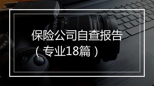 保险公司自查报告（专业18篇）