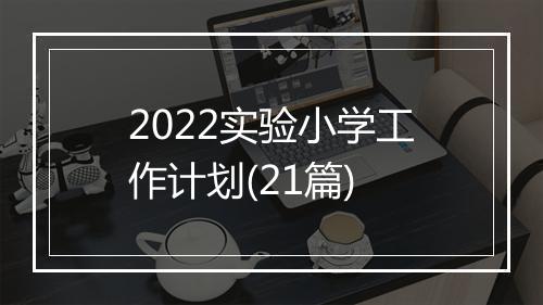 2022实验小学工作计划(21篇)